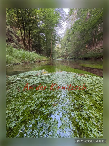 Wandern in Hinterhermsdorf