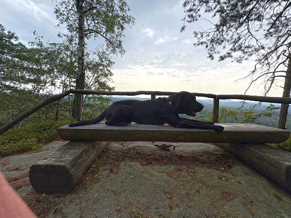 Wandern mit Hund in Hinterhermsdorf