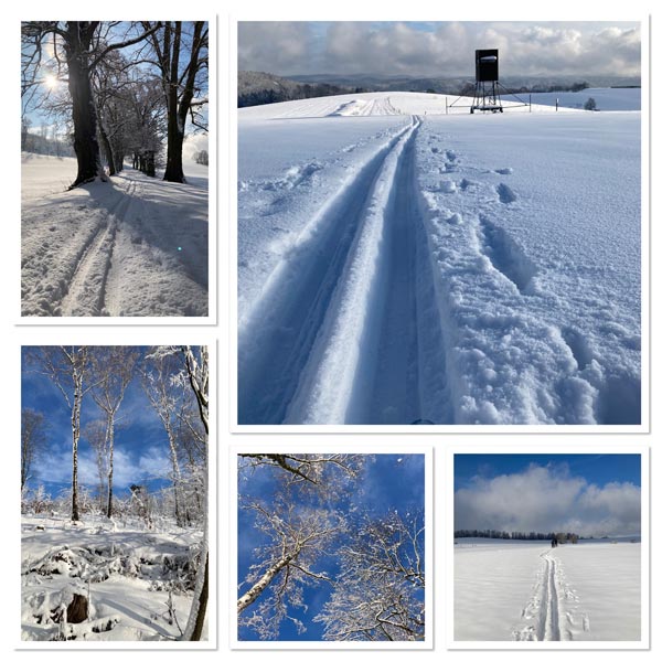 Winter in Hinterhermsdorf